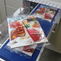 Ensacheuse automatique Flowpack Ensacheuse automatique Flowpack