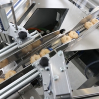 Ensacheuse automatique Flowpack Ensacheuse automatique Flowpack